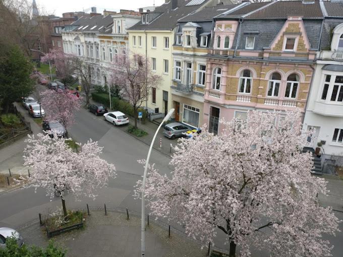 Hotel Mozart Bonn Exteriér fotografie